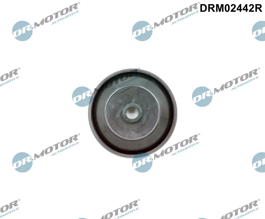 Ventil, Luftsteuerung (Ansaugluft) Dr.Motor Automotive DRM02442R