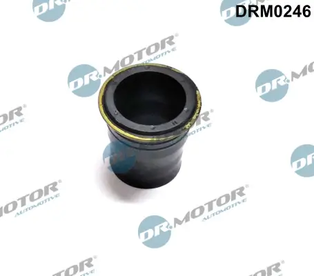 Dichtung, Düsenhalter Kraftstoffleitung Dr.Motor Automotive DRM0246