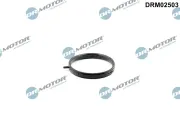 Dichtung, Kühlmittelrohr Dr.Motor Automotive DRM02503