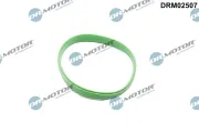 Dichtung, Drosselklappenstutzen Dr.Motor Automotive DRM02507
