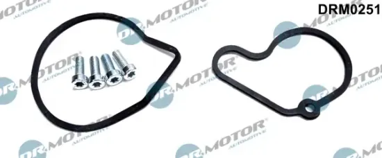 Reparatursatz, Unterdruckpumpe (Bremsanlage) Dr.Motor Automotive DRM0251 Bild Reparatursatz, Unterdruckpumpe (Bremsanlage) Dr.Motor Automotive DRM0251