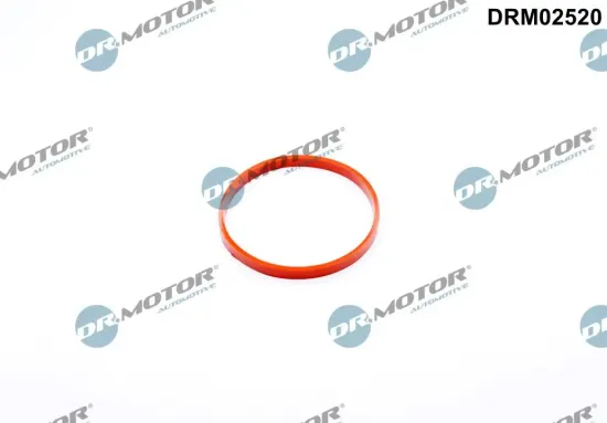 Dichtung, Drosselklappenstutzen Dr.Motor Automotive DRM02520 Bild Dichtung, Drosselklappenstutzen Dr.Motor Automotive DRM02520