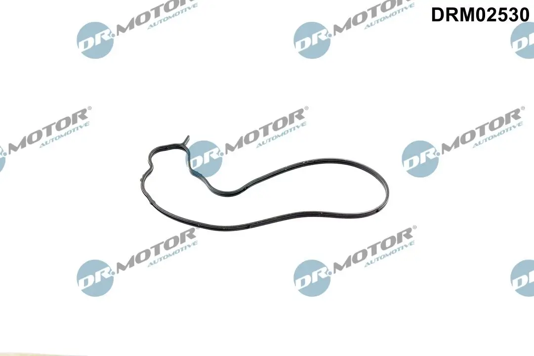 Dichtung, Wasserpumpe Wasserpumpe Dr.Motor Automotive DRM02530