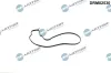 Dichtung, Wasserpumpe Wasserpumpe Dr.Motor Automotive DRM02530