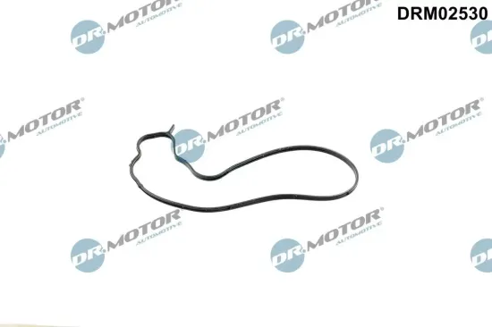 Dichtung, Wasserpumpe Wasserpumpe Dr.Motor Automotive DRM02530 Bild Dichtung, Wasserpumpe Wasserpumpe Dr.Motor Automotive DRM02530