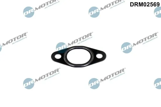 Dichtung, Leitung AGR-Ventil Dr.Motor Automotive DRM02569 Bild Dichtung, Leitung AGR-Ventil Dr.Motor Automotive DRM02569