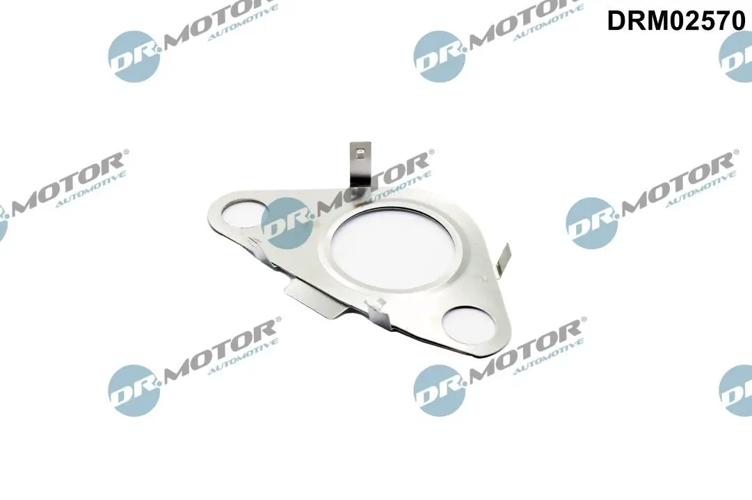 Dichtung, Leitung AGR-Ventil Dr.Motor Automotive DRM02570