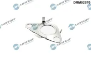 Dichtung, Leitung AGR-Ventil Dr.Motor Automotive DRM02570