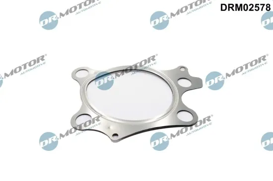 Dichtung, Abgasrohr nach Katalysator Dr.Motor Automotive DRM02578 Bild Dichtung, Abgasrohr nach Katalysator Dr.Motor Automotive DRM02578