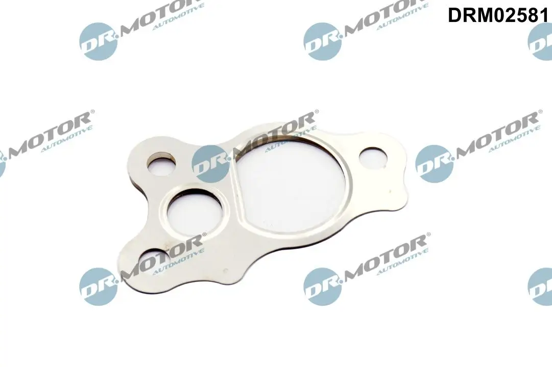 Dichtung, AGR-Ventil Dr.Motor Automotive DRM02581