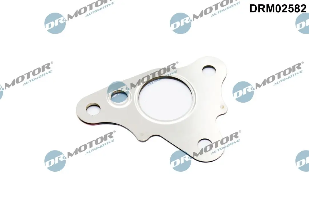 Dichtung, Leitung AGR-Ventil Dr.Motor Automotive DRM02582
