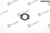 Dichtung, Kühlmittelrohrleitung Dr.Motor Automotive DRM02585