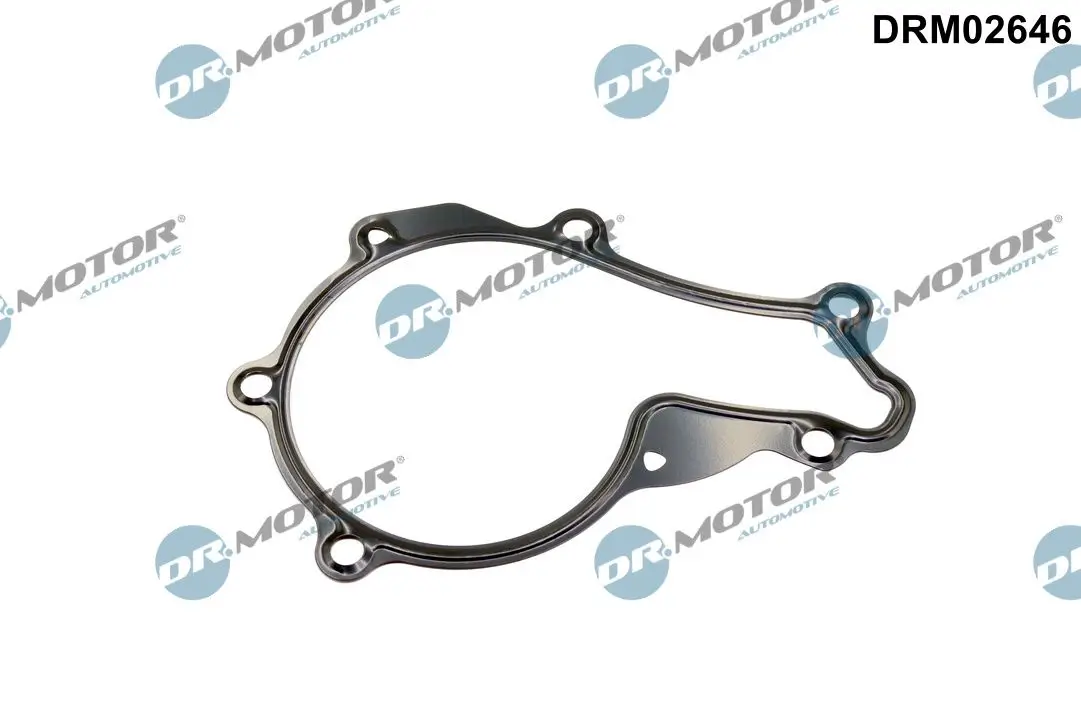 Dichtung, Wasserpumpe Dr.Motor Automotive DRM02646