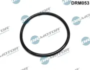 Dichtung, Kraftstofffilter Dr.Motor Automotive DRM053