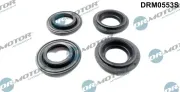 Dichtung, Düsenhalter Dr.Motor Automotive DRM0553S