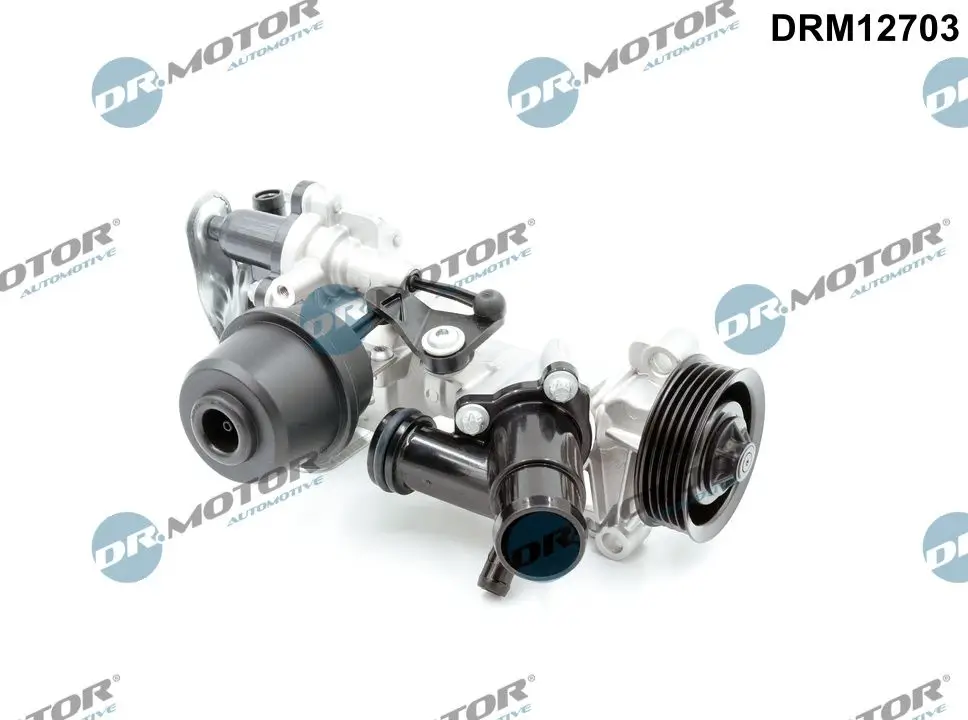 Wasserpumpe, Motorkühlung Dr.Motor Automotive DRM12703