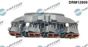 Saugrohrmodul Dr.Motor Automotive DRM12809