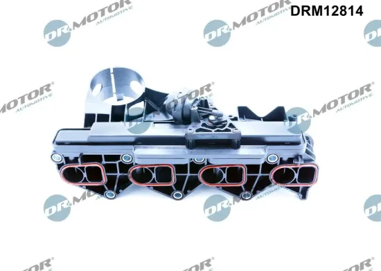 Saugrohrmodul Dr.Motor Automotive DRM12814 Bild Saugrohrmodul Dr.Motor Automotive DRM12814