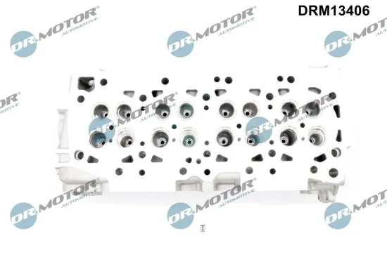 Zylinderkopf Dr.Motor Automotive DRM13406 Bild Zylinderkopf Dr.Motor Automotive DRM13406