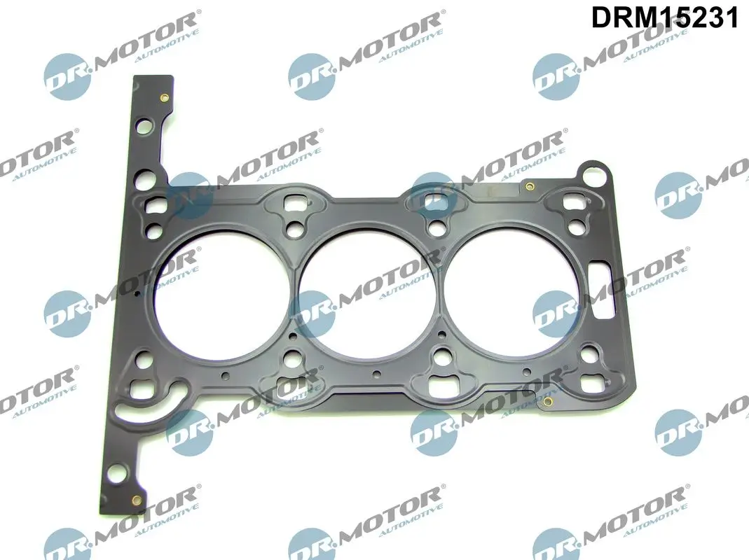 Dichtung, Zylinderkopf Dr.Motor Automotive DRM15231