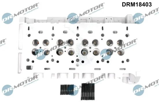 Zylinderkopf Dr.Motor Automotive DRM18403 Bild Zylinderkopf Dr.Motor Automotive DRM18403