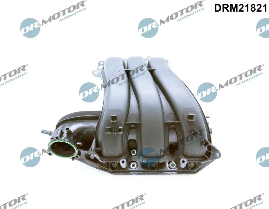 Saugrohrmodul Dr.Motor Automotive DRM21821