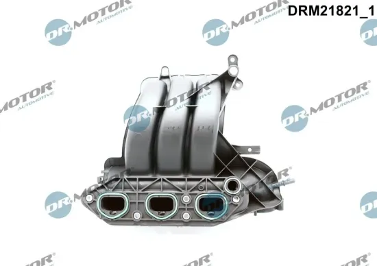 Saugrohrmodul Dr.Motor Automotive DRM21821 Bild Saugrohrmodul Dr.Motor Automotive DRM21821