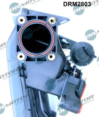 Saugrohrmodul Dr.Motor Automotive DRM2803 Bild Saugrohrmodul Dr.Motor Automotive DRM2803