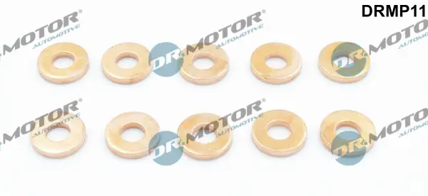 Wärmeschutzscheibe, Einspritzanlage Dr.Motor Automotive DRMP11