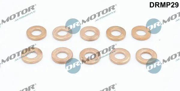 Wärmeschutzscheibe, Einspritzanlage Dr.Motor Automotive DRMP29