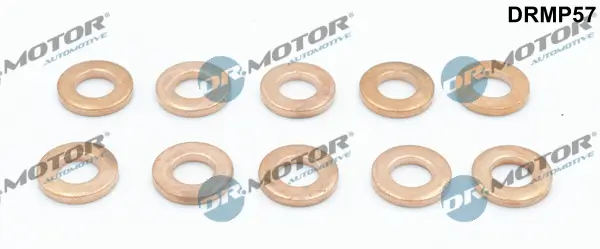 Wärmeschutzscheibe, Einspritzanlage Dr.Motor Automotive DRMP57