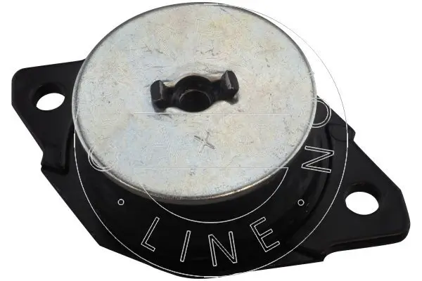Lagerung, Motor hinten links AIC 50278