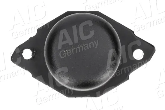 Lagerung, Motor hinten links AIC 50291 Bild Lagerung, Motor hinten links AIC 50291