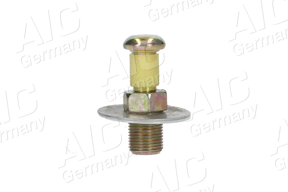 Schließdorn, Türschloss B-Säule C-Säule AIC 50551