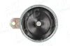 Horn 12 V AIC 50708
