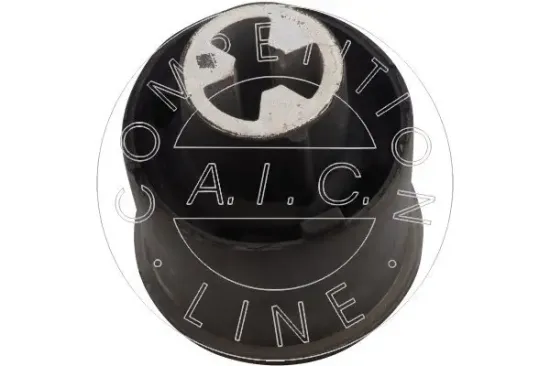 Lagerung, Achskörper Hinterachse links Hinterachse rechts AIC 51142 Bild Lagerung, Achskörper Hinterachse links Hinterachse rechts AIC 51142