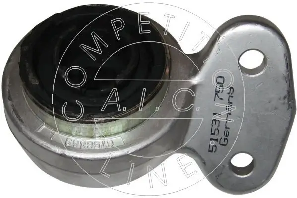 Lagerung, Lenker Vorderachse links hinten AIC 51531