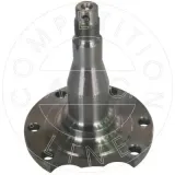 Achszapfen, Achskörper Hinterachse beidseitig AIC 51579