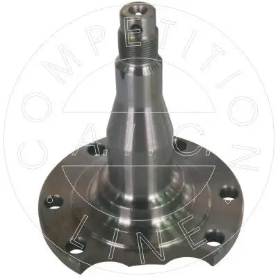 Achszapfen, Achskörper Hinterachse beidseitig AIC 51579 Bild Achszapfen, Achskörper Hinterachse beidseitig AIC 51579