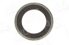 Sensorring, ABS Hinterachse beidseitig AIC 52302 Bild Sensorring, ABS Hinterachse beidseitig AIC 52302