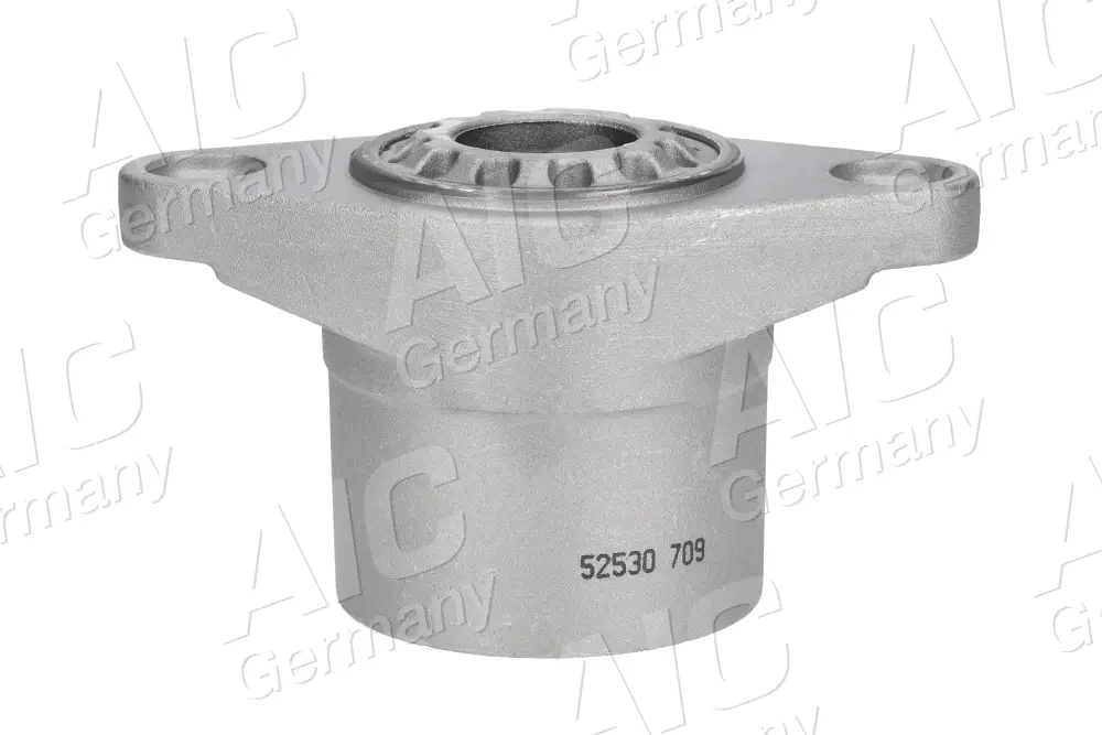 Federbeinstützlager Hinterachse links Hinterachse rechts AIC 52530