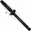Sto&szlig;d&auml;mpfer Hinterachse AIC 52603