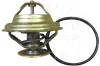 Thermostat, K&uuml;hlmittel AIC 52897