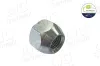 Radmutter Vorderachse Hinterachse AIC 52921