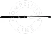 Gasfeder, Koffer-/Laderaum beidseitig AIC 53852