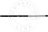 Gasfeder, Koffer-/Laderaum beidseitig AIC 53861