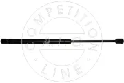 Gasfeder, Koffer-/Laderaum beidseitig AIC 53871
