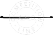 Gasfeder, Koffer-/Laderaum beidseitig AIC 53879
