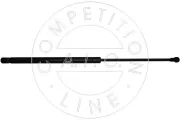 Gasfeder, Koffer-/Laderaum beidseitig AIC 53880
