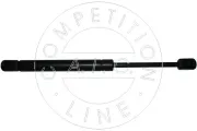 Gasfeder, Koffer-/Laderaum beidseitig AIC 53887